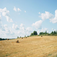 photograph of countryside with hay bales