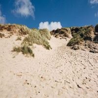 photograph of Oregon Coast sand dune